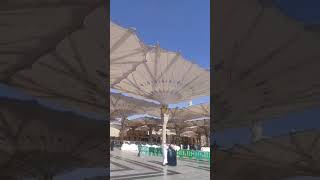 Madina #Saudi Arabia #Umbrella Open #Shorts