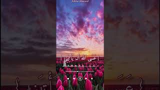 ماشاءالله تلاوة هادئة 😌قارئ اسلام صبحي 🎧✨