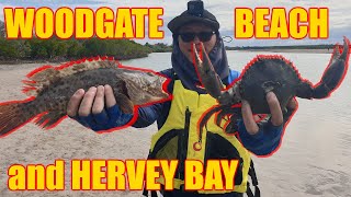 🎣 WOODGATE BEACH & THEODOLITE RIVER FISHING