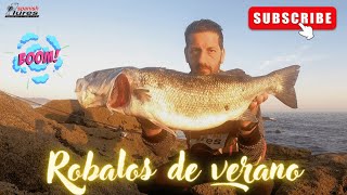 Robalos de verano '22