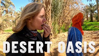 DESERT OASIS объяснил: вот как они это делают. |S7 - E7|