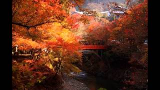 Landscape of around Takao and Makinoo,Kyoto Japan Nov.2013