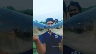 fish kissing.🤩funny fishing time..🤩🔥🎣#shorts