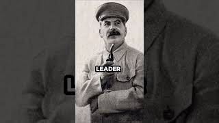 How Did Stalin React To Hitler's Invasion Of the Soviet Union? #shorts #stalin #hitler #ww2