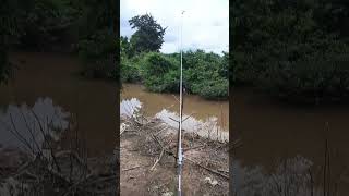 Mancing Ikan Lampam