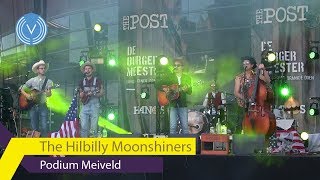 Cult & Tumult: The Hilbilly Moonshiners