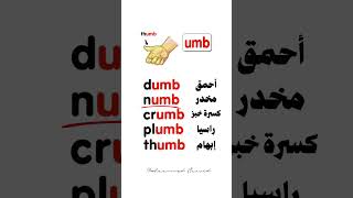 حفظ 5 كلمات من خلال • umb • #english #تعلم #انجليزي #تعلم_الانجليزية