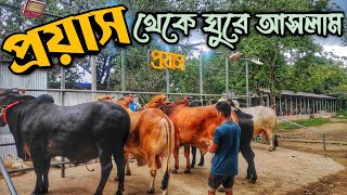 প্রয়াস এগ্রো ঘুরে দেখলাম || Purbasha Agro || Motovlog