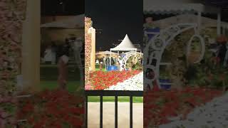 Souq vaqif/flower show#souq#Qatar#arychunks