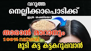 മുടി വളരാനും പെട്ടന്ന് കറുത്ത് വരാൻ /nellikka hair dye /malayalam