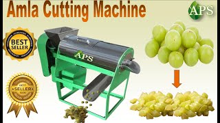 Amla cutting machine // Amla Seed Remover Machine