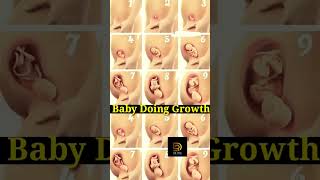 baby development in mother womb | माँ के गर्भ में भ्रूण #pregnancy #baby #video