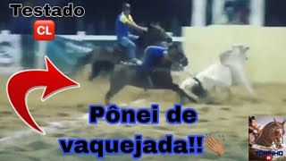 PÔNEIS DE VAQUEJADA TESTADOS!!🐴🐂🥾🆑