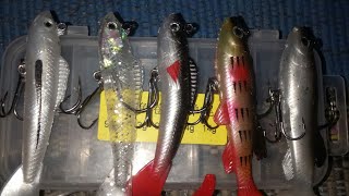 Soft lure barramundi