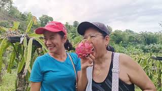 EXPLORING GKG FARM AT CARMEN CEBU WITH MAMI HEINZ || TRAVEL VLOG