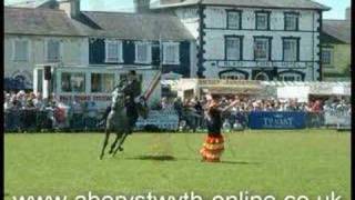 Horse Show with Welsh Cobs & Ponies