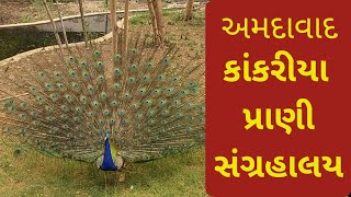 ||Ahmedabad Zoo||પ્રાણી સંગ્રહાલય||@prafulvlog