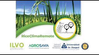 Proyecto arroz y cambio climático Riceclimaremote