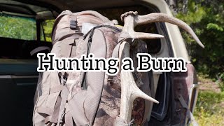 Hunting a Burn Pt 1