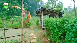 Bermain Ke Kebun Balong Pagi Hari Makin Betah