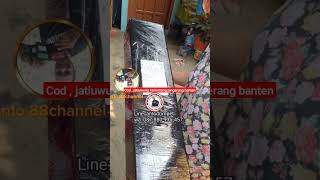 cod terimakasih, Jatiuwung,keroncong ,Tangerang banten #anto88channel#jualanonline#cod#jakartapusat