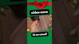 Vem assistir ao vídeo completo e prepare o Natal do seu patudo #cachorros #biscoitodenatal