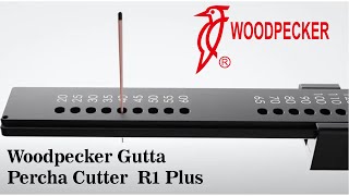 Woodpecker Gutta Percha Cutter  R1 Plus - Woodpecker R1 Plus Gutta Percha Kesici ve Düzeltici