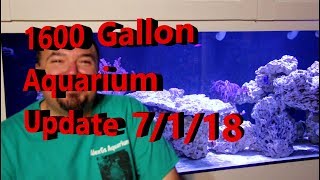 1600 Gallon Aquarium Update 7/1/18