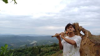 Hilly flute music.. 🎼❤️