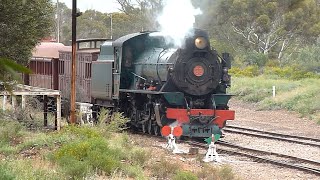 Pichi Richi Railway, W22 whistle Show through Quorn