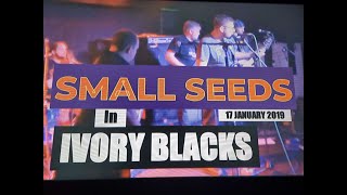 (Vol.21 No.03) - SMALL SEEDS In IVORY BLACKS - GLASGOW (s/uk) - 17 JANUARY 2019