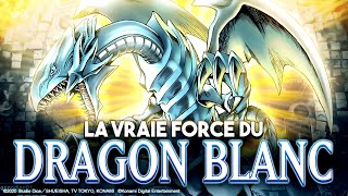 Quelle est la VRAIE FORCE du DRAGON BLANC AUX YEUX BLEUS ?