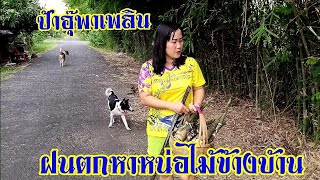 ฝนตกหาหน่อไม้หวานแบบบ้านๆ | เศรษฐกิจพอเพียง | ป้าอุ๊พาเพลิน