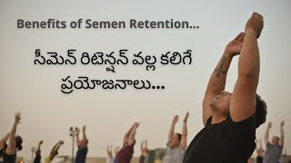 Benefits of Semen retention in telugu | Clarity Cabin