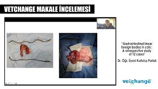 Kedilerde gastrointestinal lineer yabancı cisimler: 12 vakanın retrospektif bir çalışması