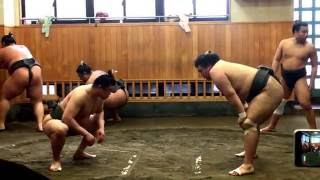 I visited professional sumo wrestler studio in Tokyo! Here's how they practice Prt9　相撲朝稽古見学