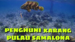 ULTRALIGHT FISHING PULAU SAMALONA MAKASSAR 2