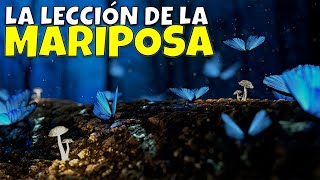 LA LECCIÓN DE LA MARIPOSA - REFLEXIÓN 🦋