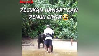 TERHARU !! PERSAHABATAN HEWAN DAN MANUSIA