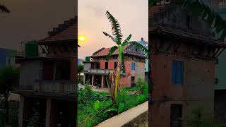 Antique House! #youtubeshorts #natureexplorers #naturevideo