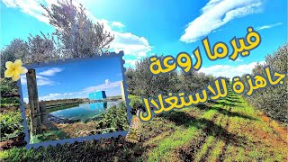 فيرما واجدا⛳️ فاحسن موقع أشجار🪴صغيره و الكهرباء كلشي بالطاقه الشمسيه🌼😎