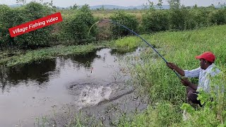 FLOAT TRADITIONAL 🎣 Single Hook Fishing For Big Tilapia and Big CatFish The in Village Fishing video