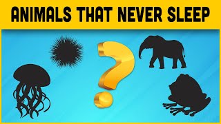 5 Shocking Animals That Never Sleep