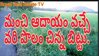 land for sale||Vari chenu|| real estate||Royal Real Estate TV||