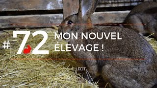 MON NOUVEL ELEVAGE │LFDT #72