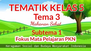 Keragaman Sosial, Budaya Masyarakat Indonesia - Tematik Kelas 5, Tema 3 Sub Tema 1 dan Semester 1