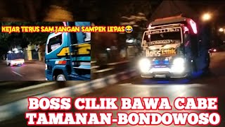 BOSS CILIK bawa cabe BIALLY RAWIT BONDOWOSO Saling Kejar-kejaran sama TRAGA