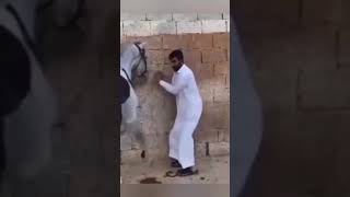 Best Funniest  Videos 😅 - Funny Videos 2024 😇 #1