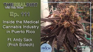 Inside the Medical Cannabis Industry in Puerto Rico Ft. Andy Sack