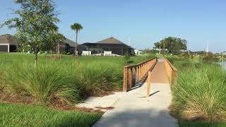 The Villages, Florida, Linden Isle bridge near Fenney Way and Corbin Trail. Alligator spotting!